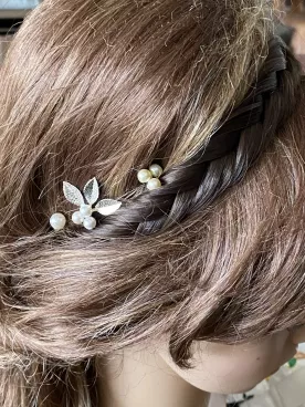 Pic à cheveux Givre Perlé